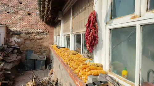 微信图片_2026-02-06_173314_721