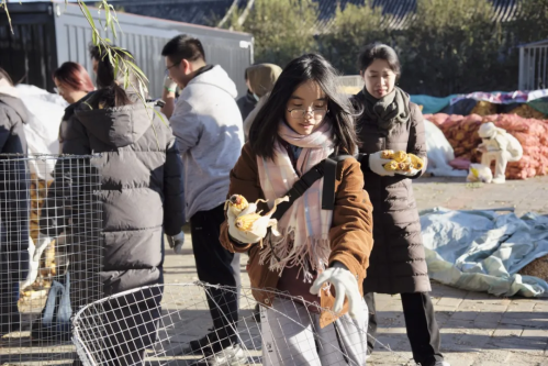 微信图片_2026-02-06_173326_705