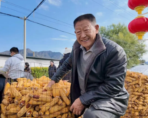 微信图片_2026-02-06_173330_649