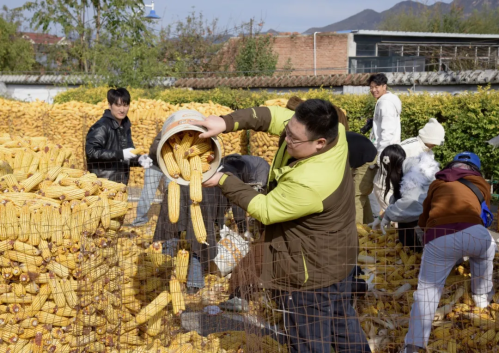 微信图片_2026-02-06_173332_649