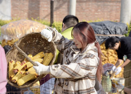 微信图片_2026-02-06_173337_033