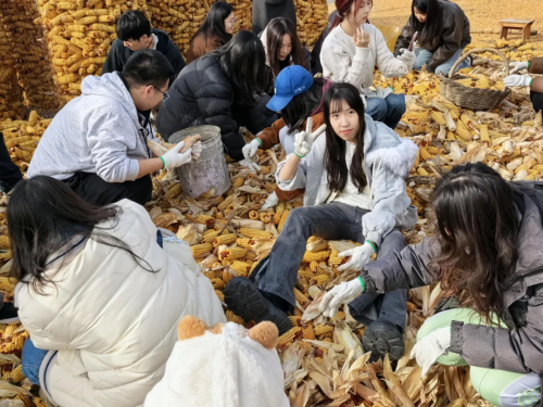 微信图片_2026-02-06_173334_760