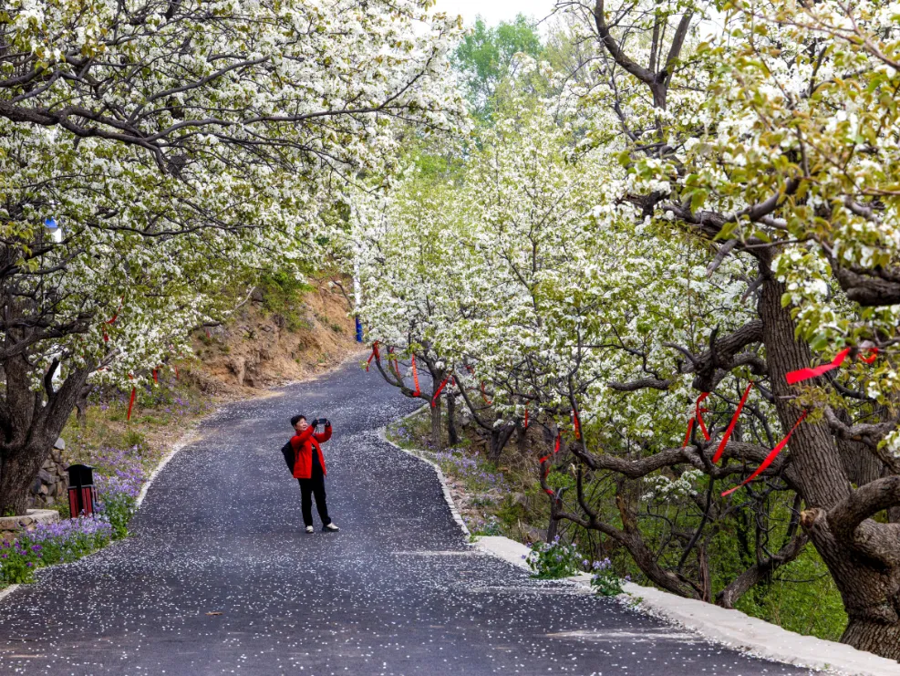 微信图片_2026-03-17_110413_304 微信图片_2026-03-17_110413_304