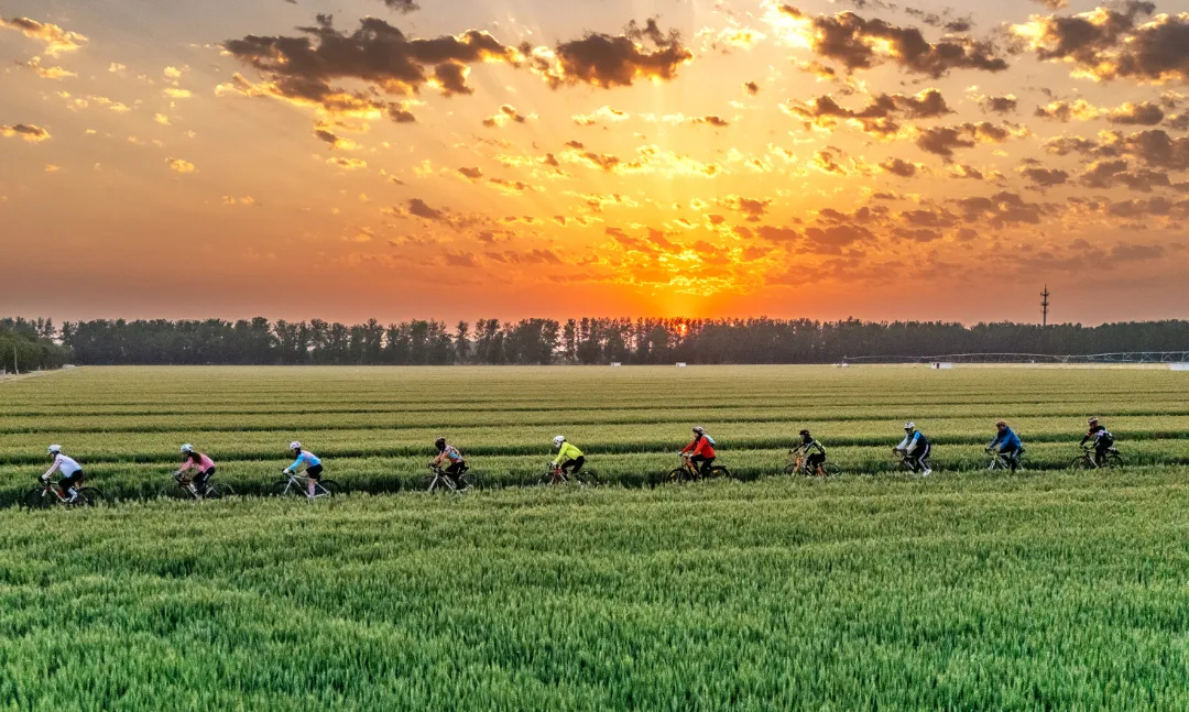 微信图片_2026-03-17_110409_584 微信图片_2026-03-17_110409_584