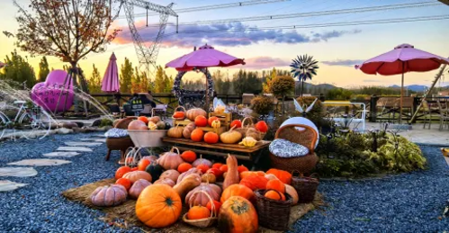 微信图片_2025-12-19_111410_281