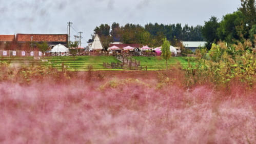 微信图片_2025-12-19_111414_305