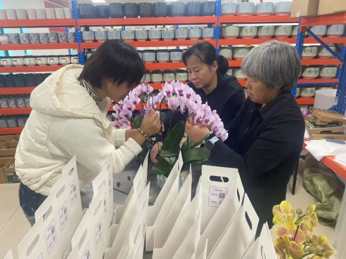 微信图片_2025-12-19_114547_315