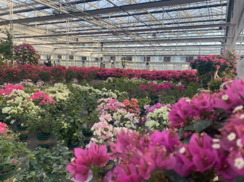 微信图片_2025-12-19_114549_259