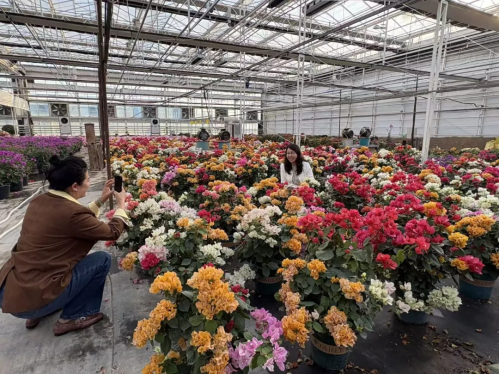 微信图片_2025-12-19_114553_364