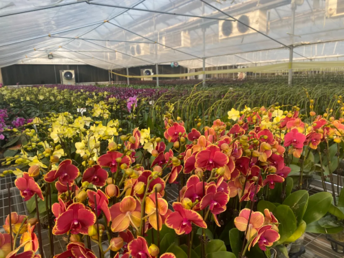 微信图片_2025-12-19_114551_331