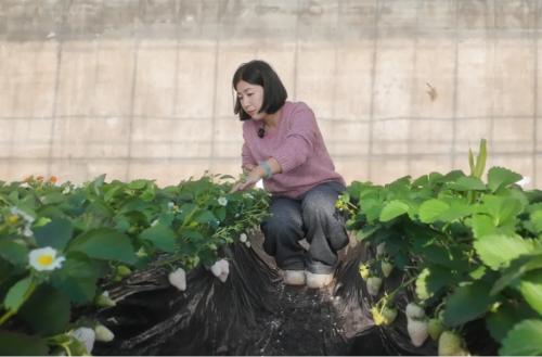 微信图片_2025-12-24_093814_048