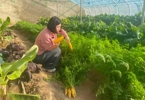 微信图片_2025-12-24_093819_579