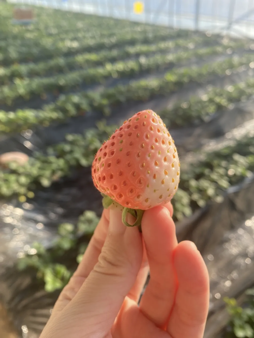 微信图片_2025-12-24_093824_315