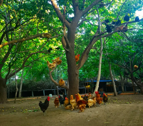 微信图片_2025-12-24_093822_107