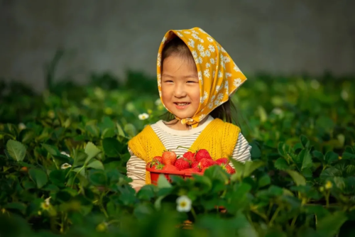 微信图片_2025-12-24_093826_459