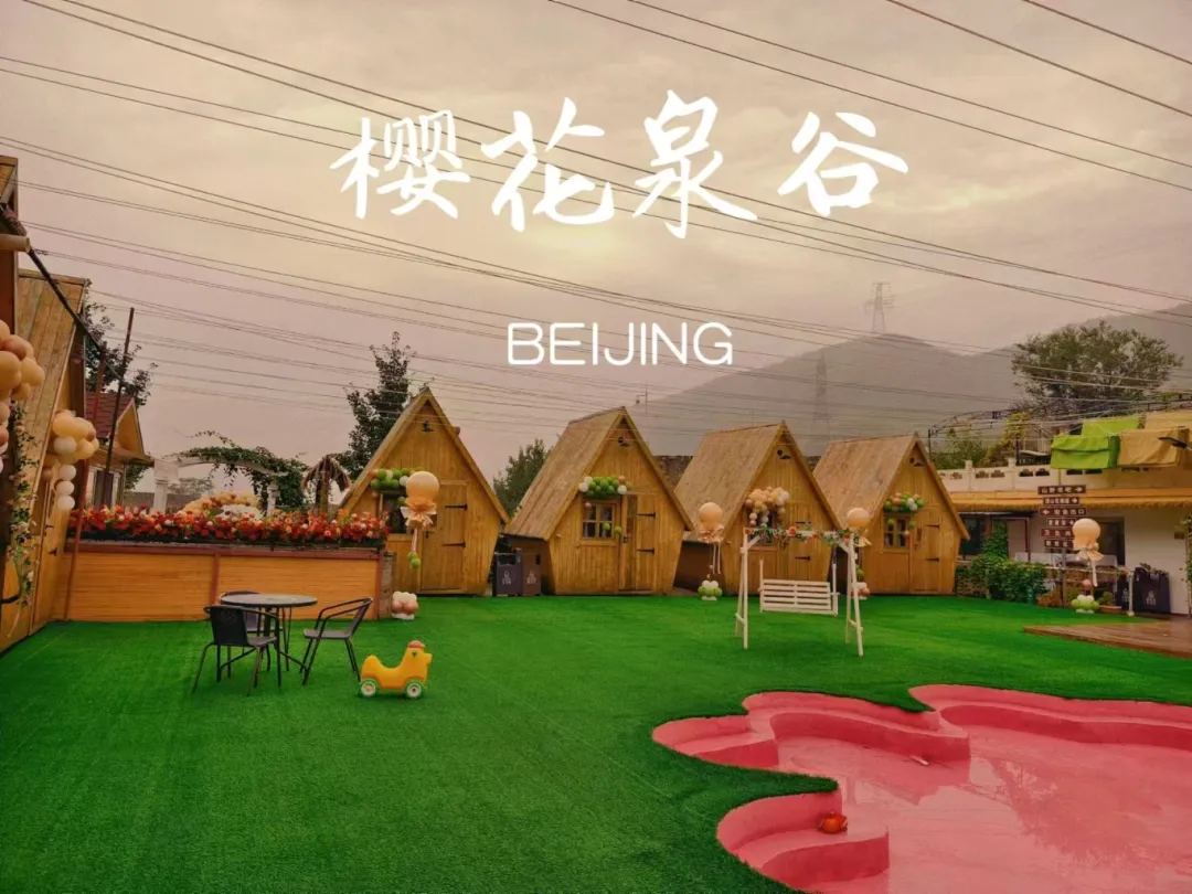 微信图片_2025-12-31_093010_511