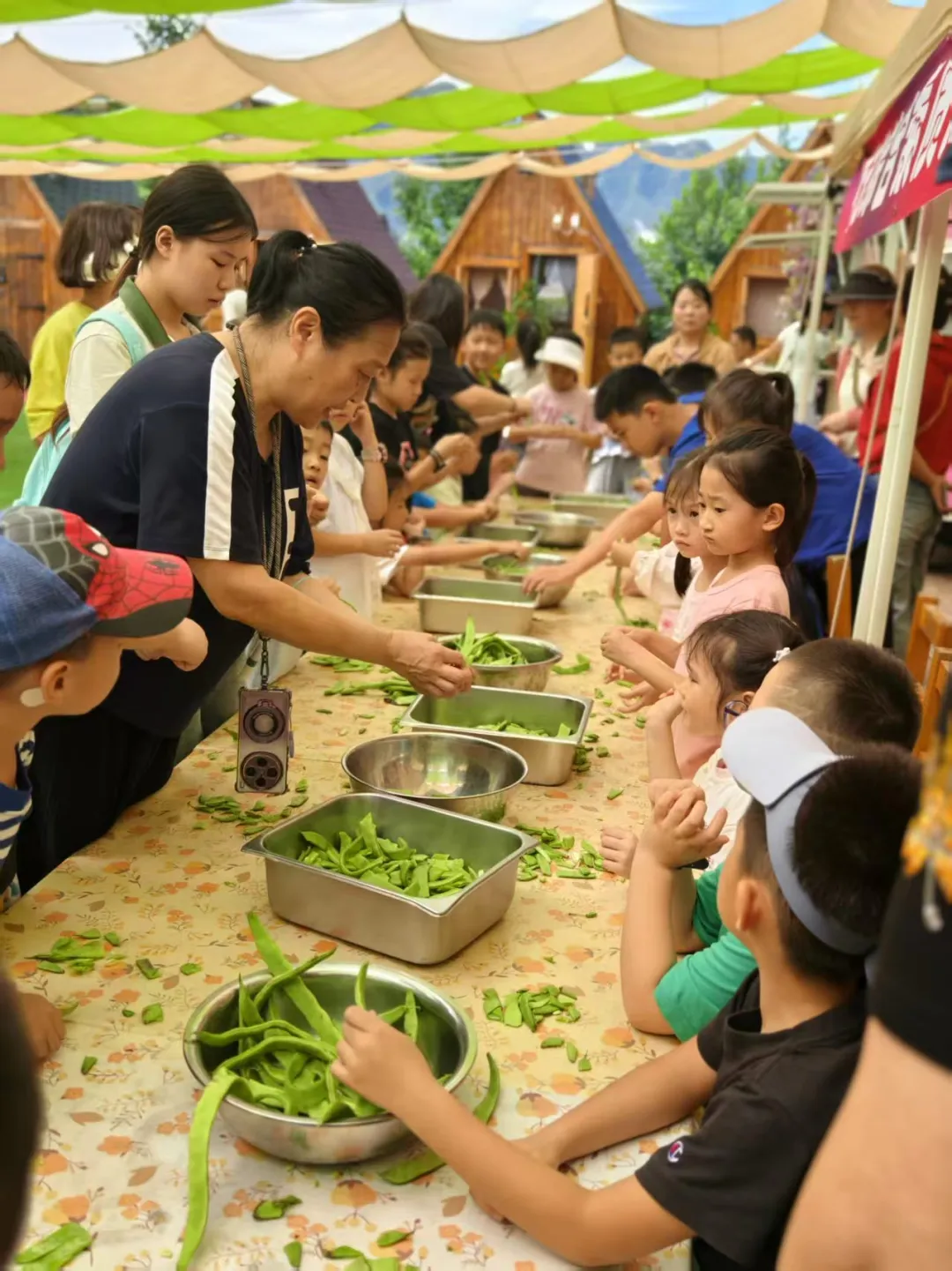 微信图片_2025-12-31_093013_014