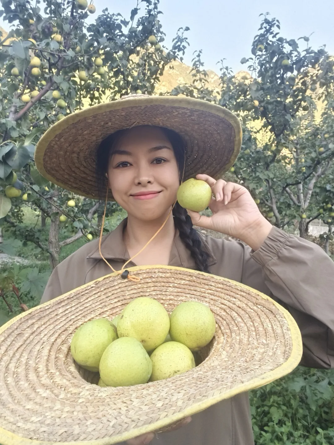 微信图片_2025-12-31_093006_800