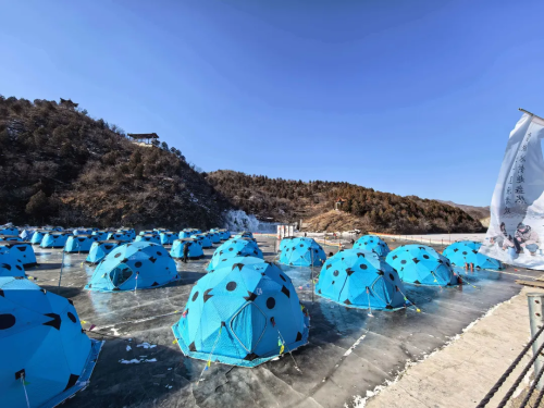 微信图片_2026-02-05_115331_785