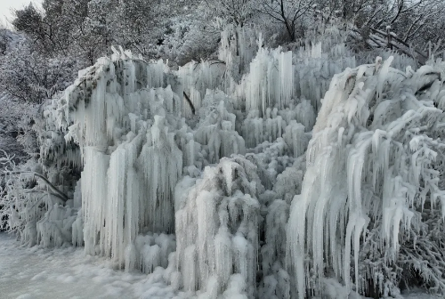 微信图片_2026-02-05_115339_656