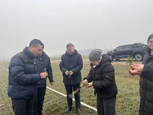 微信图片_2026-03-10_142744_201