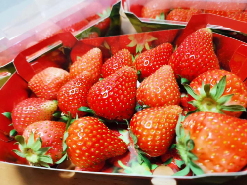 微信图片_2026-03-20_111851_589 微信图片_2026-03-20_111851_589