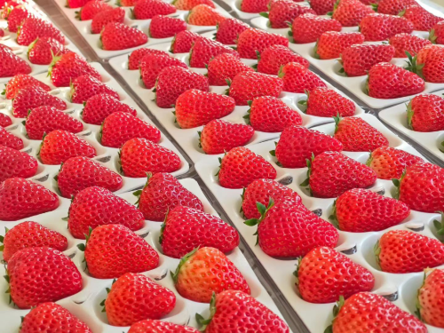 微信图片_2026-03-20_111905_245 微信图片_2026-03-20_111905_245