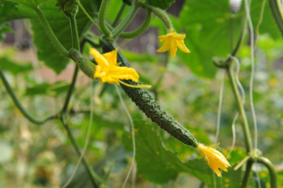 微信图片_2026-03-20_111929_195 微信图片_2026-03-20_111929_195