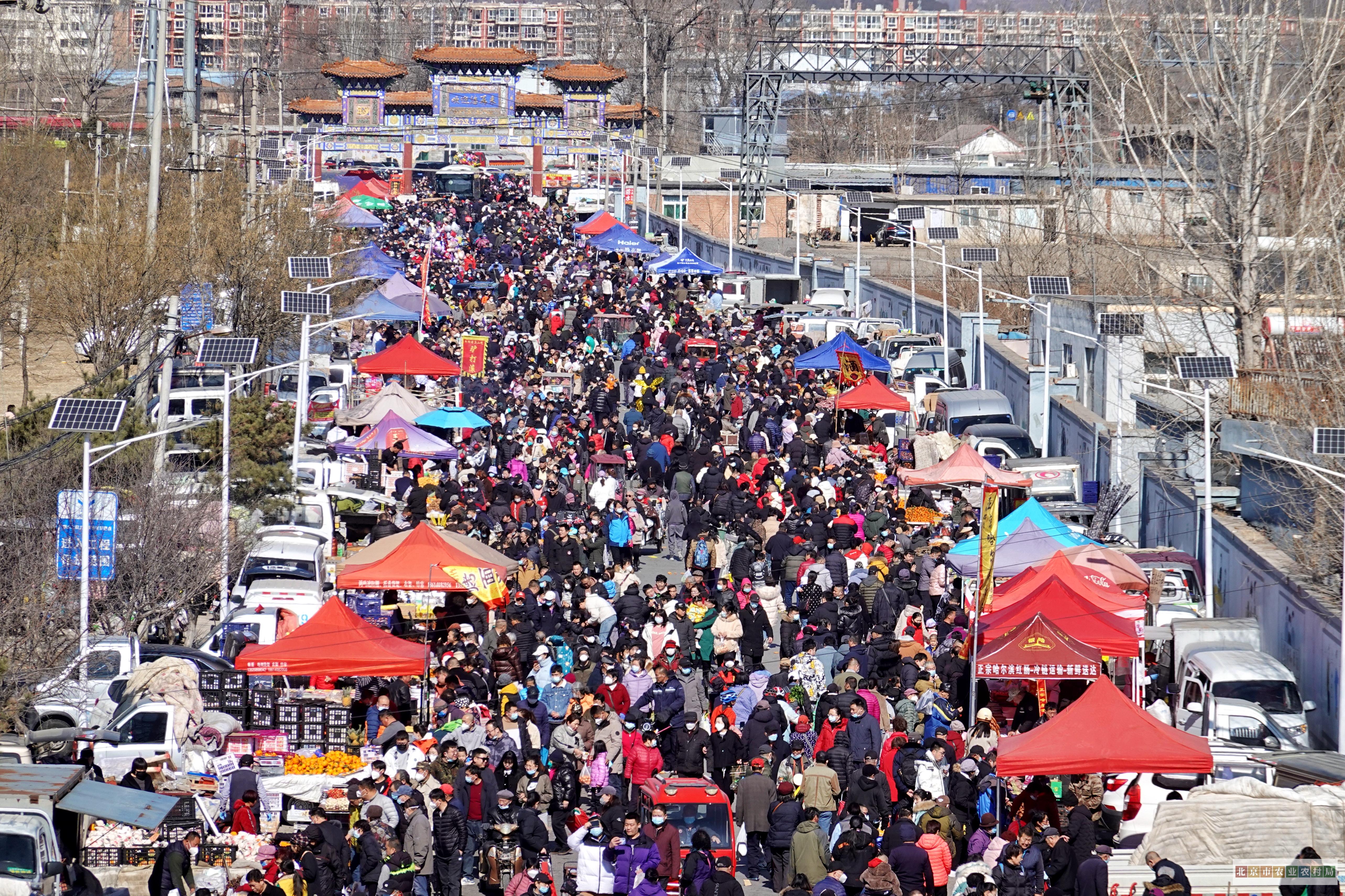 周末大集人气爆棚