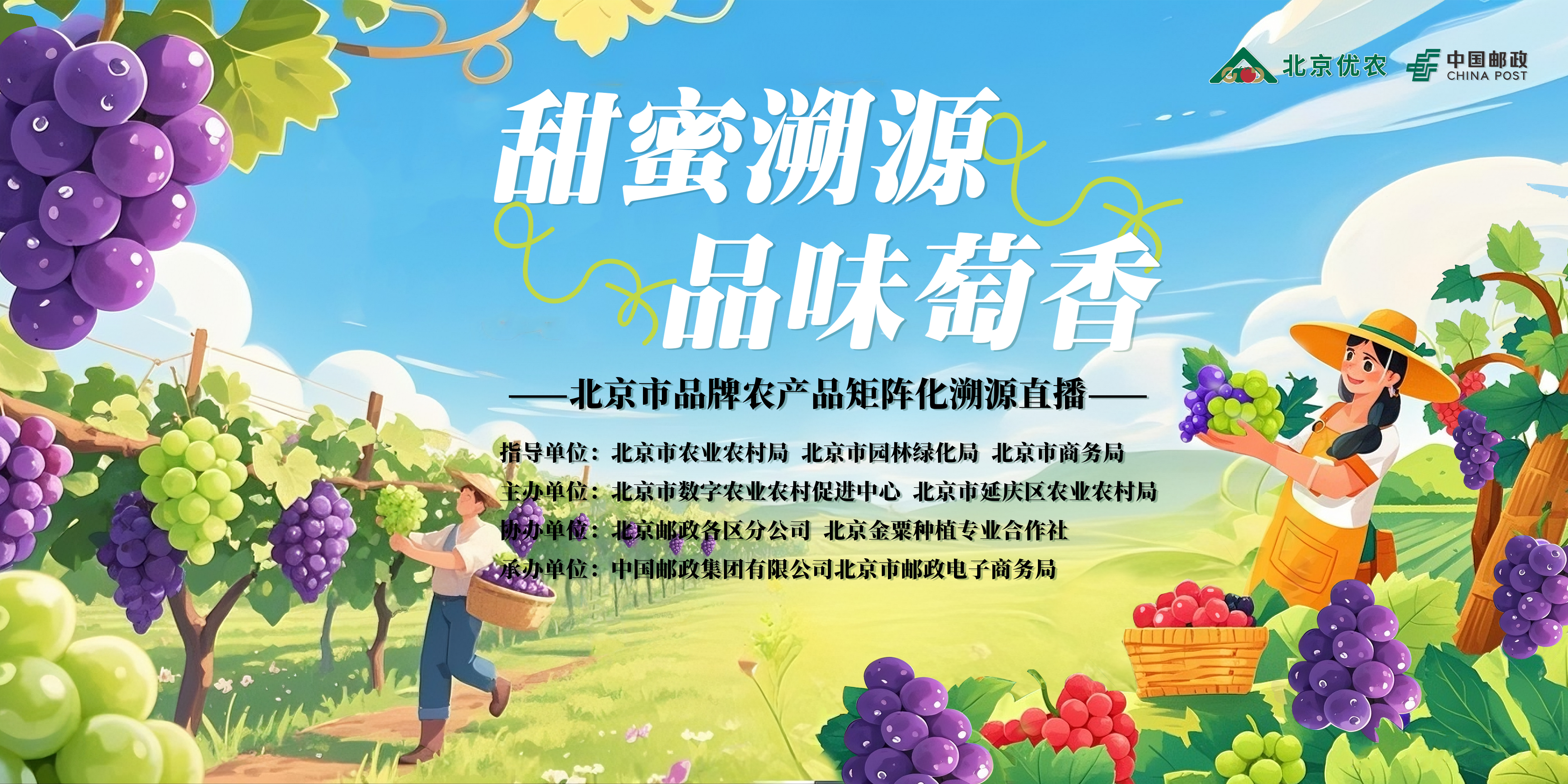 图片49