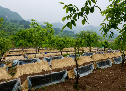 微信图片_2025-12-19_115417_052