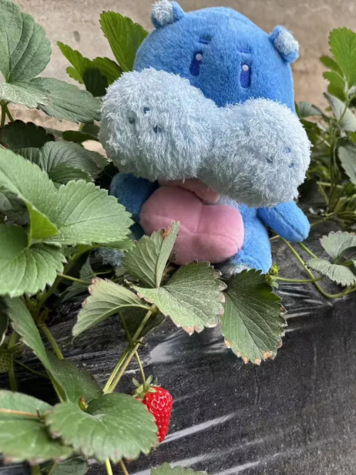 微信图片_2026-02-05_113056_077