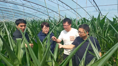 微信图片_2026-05-14_174215_783