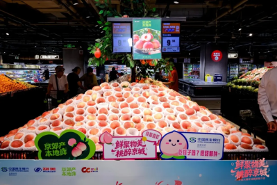 微信图片_2026-08-06_103631_734 微信图片_2026-08-06_103631_734