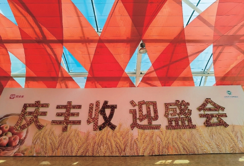 “拼出好丰景”