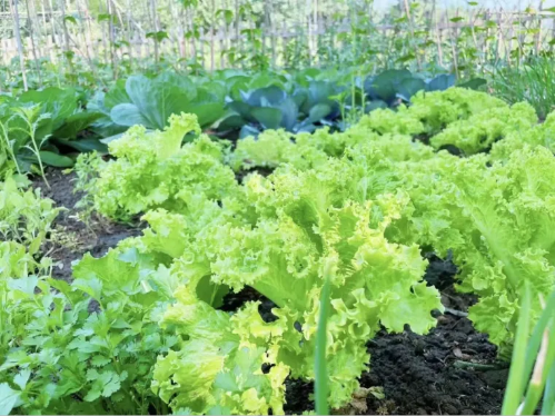 微信图片_2025-09-18_175648_124