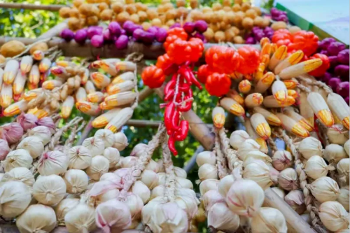 微信图片_2025-09-18_175641_699