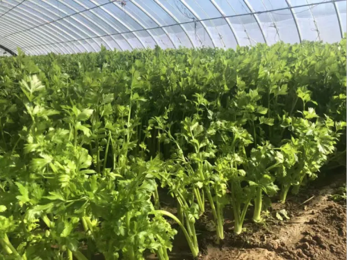 微信图片_2025-09-18_175650_236