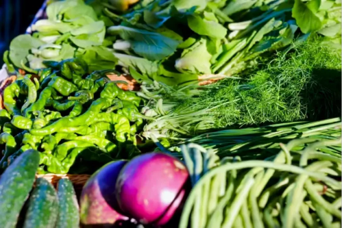 微信图片_2025-09-18_175701_635