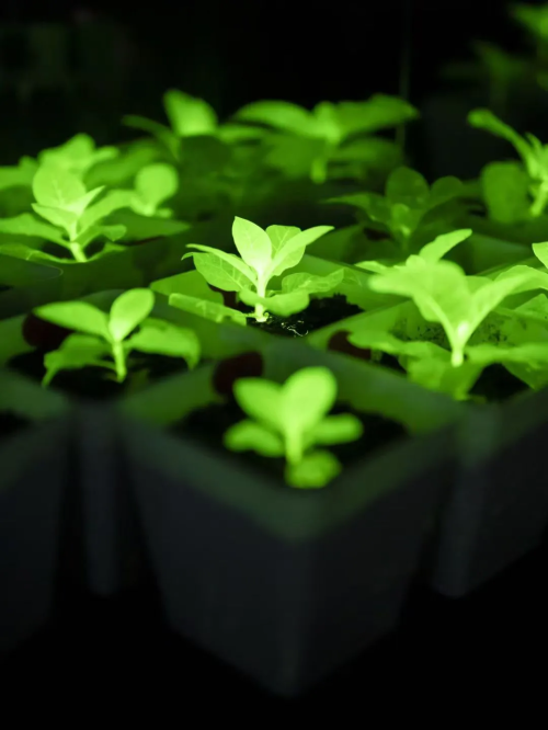 微信图片_2025-12-29_152147_887