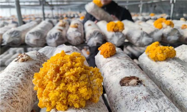 微信图片_20210111135816