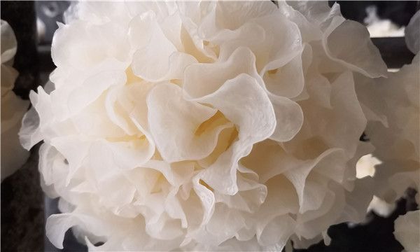 微信图片_20210111135820