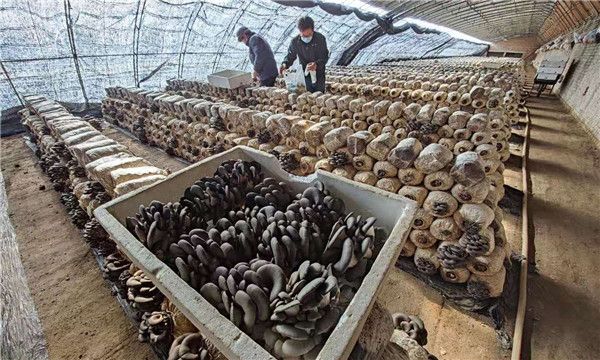 微信图片_20210111135823