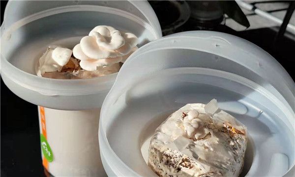 微信图片_20210111135826