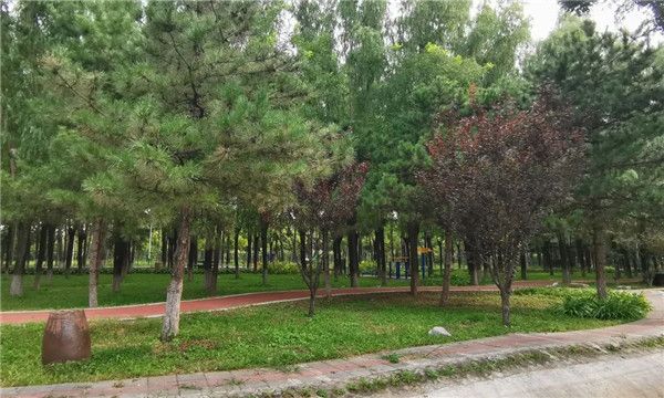 微信图片_20210922102719