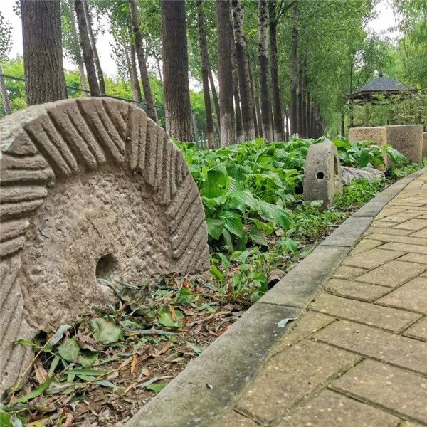微信图片_20210922102721