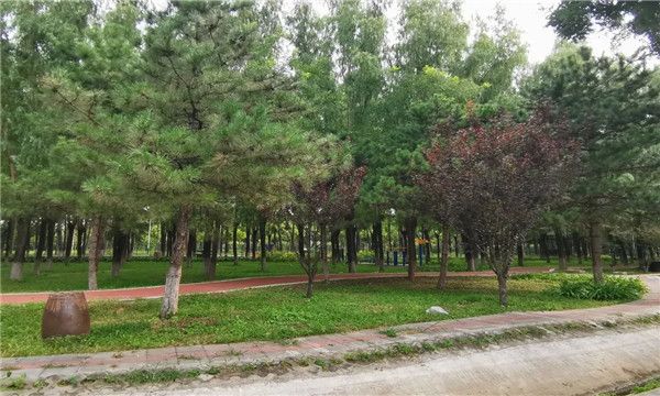 微信图片_20210922102735