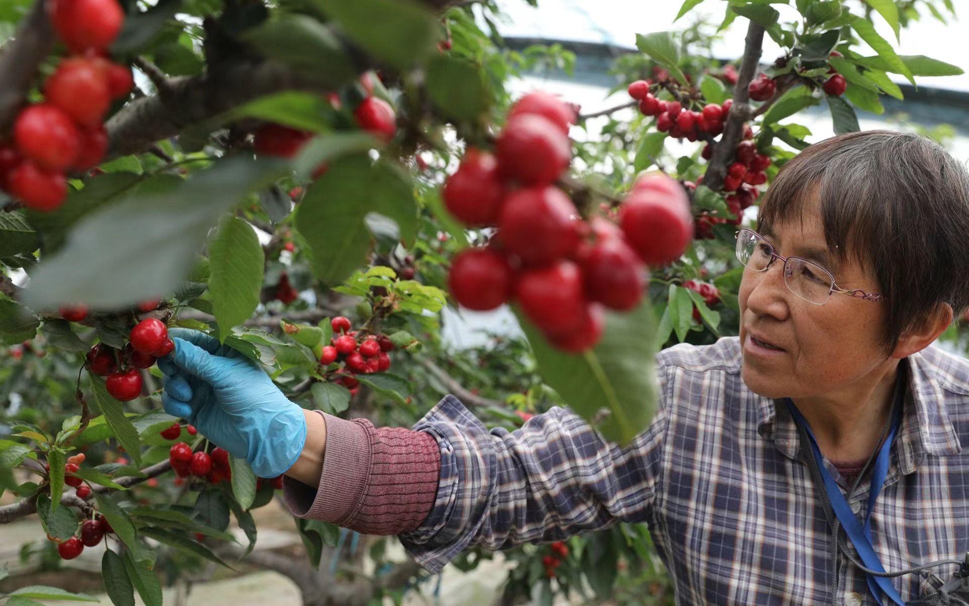 微信图片_20220517102538 微信图片_20220517102538