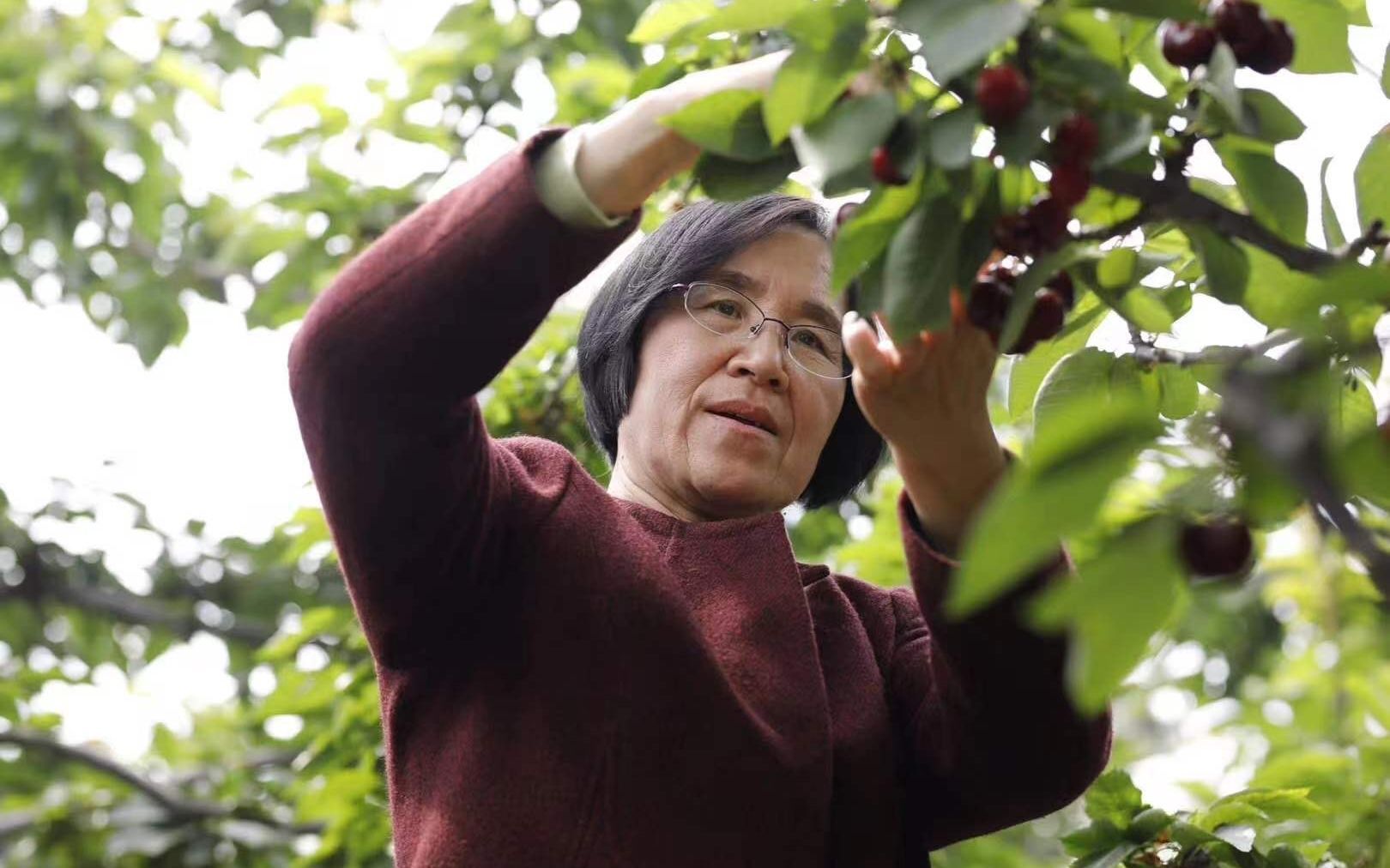 微信图片_20220517102543 微信图片_20220517102543