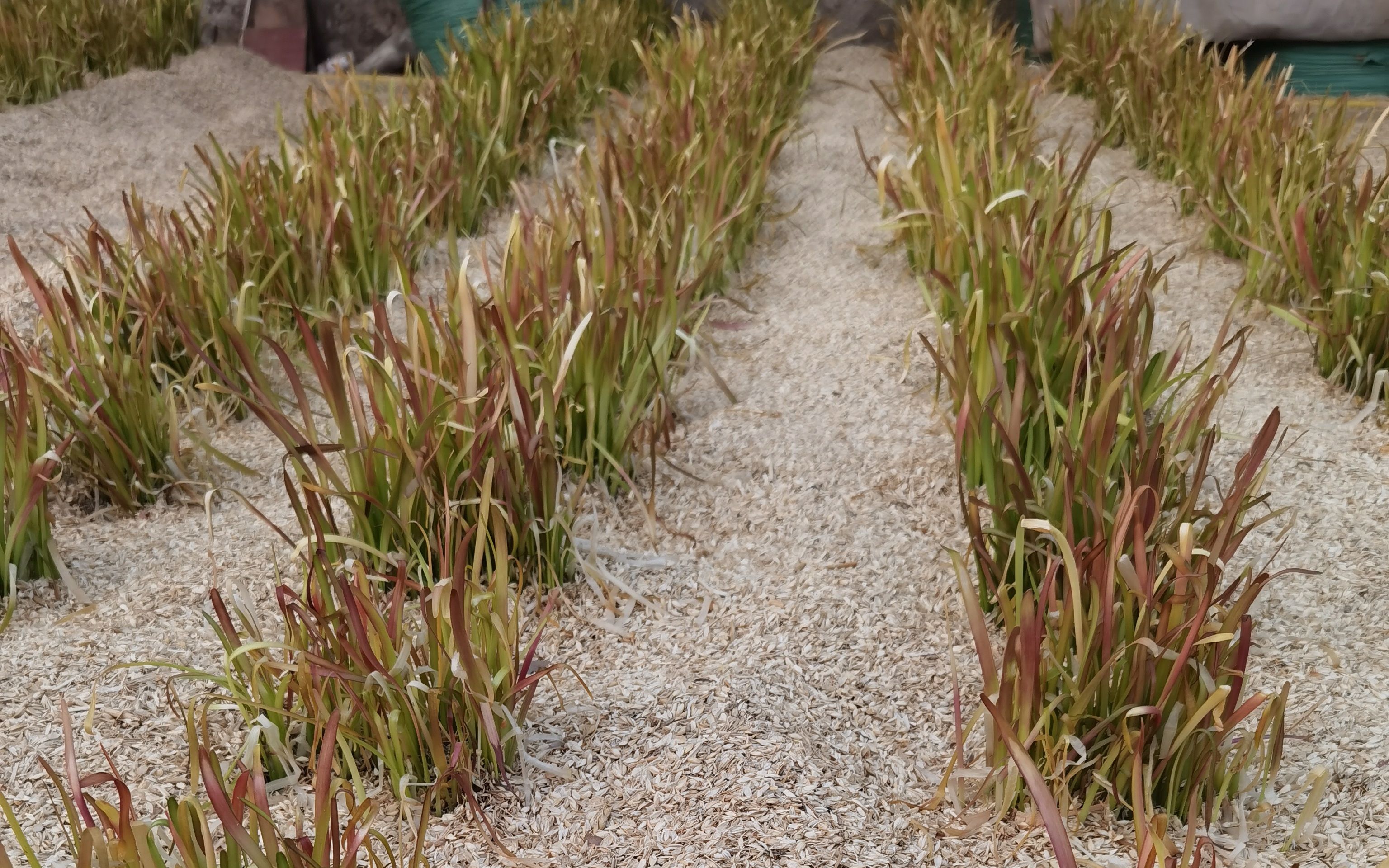 微信图片_20220601102918